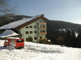 Cihlářská bouda, apartmán 307, hotel en Černý Důl