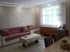 Lovely two bedrooms apartment in center Sevan