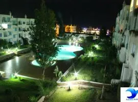 Kabila Vista D2 3