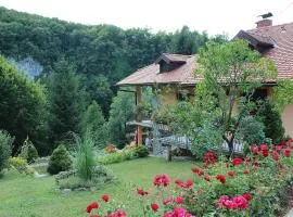 Holiday house with a parking space Jakovci Netreticki, Karlovac - 20279
