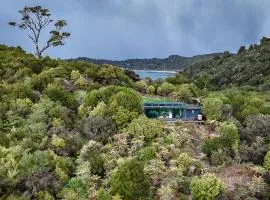 Hananui PurePod