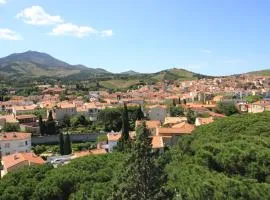 Appartement Banyuls-sur-Mer, 3 pièces, 4 personnes - FR-1-309-88