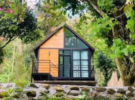 p.p. hill & house
