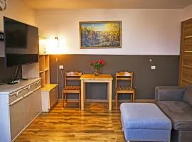 Apartment for a short rent in KaunasButas trumpalaikei nuomai Kaune