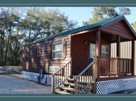 Driftwood Cabin - 2nd Street, cabin in Steinhatchee