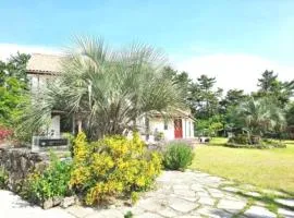 Bandi House