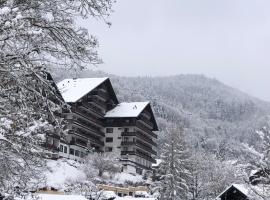 Dachstein 529, ξενοδοχείο σε Bad Goisern