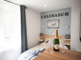 L'ELEBASCH - Studio confort Netflix/Prime Vidéo, apartment in Riom