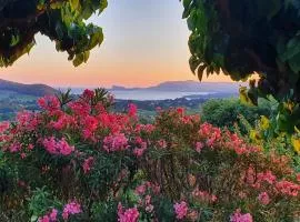 La Maison De La Cadière