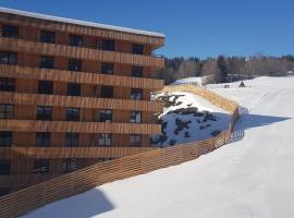 Flims 2 Room Apartment in Center Ski in-out TrulloVista, παραθεριστική κατοικία σε Flims