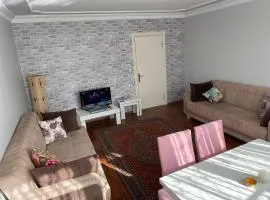 Şehir ve orman manzaralı daire