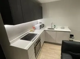 Whole apartment in Harrow Town centre