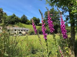 Luxury Exmoor Barn conversion with Sauna, cabana o cottage a Exford