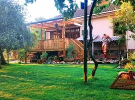 Frieden-Hof Guest Accommodation