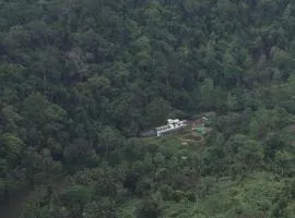 Explore Sinharaja Rain Forest Tour Camp