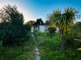 Cabañas Santa Rita, ξενοδοχείο σε Cobquecura