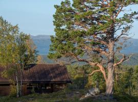 Sørbølhytta - cabin in Flå with design interior and climbing wall for the kids, hotel sa Flå