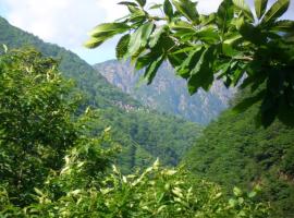 B&B CA' DEL PITUR CICOGNA, ξενοδοχείο κοντά σε Εθνικό Πάρκο Val Grande, Cossogno