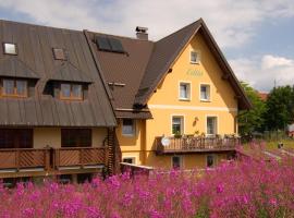 Ubytování Edita, hotel in Boží Dar