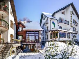 Pensiunea Crocus - Sauna & Billiard