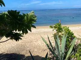 Bungalow Paille en queue sur la plage de La Saline