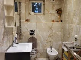 Classic Apartment