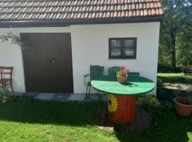 Family friendly house with a parking space Zakrajc Brodski, Gorski kotar - 20569