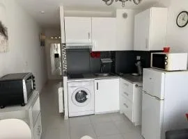 T1 Classé 3 Étoiles avec Animaux Admis et Climatisation - FR-1-571-49