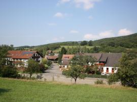 Hotel & Landgasthaus Pfeifertal, hotel em Eulenbis
