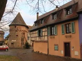 Plein Sud vue sur les Vosges et le vignoble