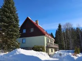 Apartment Harrachov 387 by Interhome