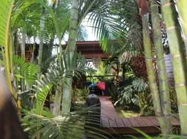Lodge Ylang Ylang, LIANE DE JADE 974 -piscine - jacuzzi privatif