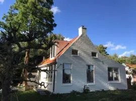 Vogelvrij
