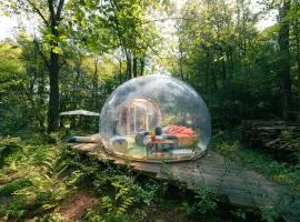 Camping Future Is Nature Playground