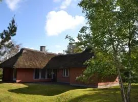 Holiday Home Helline - 900m from the sea in Western Jutland by Interhome