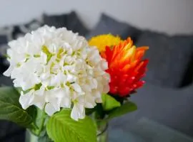 Newly decorated 1 Bed Apartment, with balcony - Osu Residential