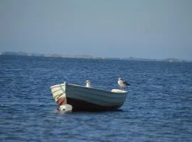 Ferienwohnungen Buschsand 15 Friedrichskoog-Spitze