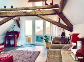 Schönster Blick auf Oppenheim!