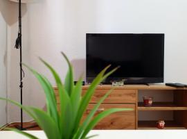 Fenix Apartman, Hotel in Zaječar