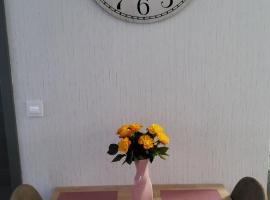 Brodovskiy- Apartment, guest house in Neckarsulm