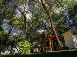 Hotel Los Lirios