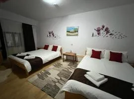 Pensiunea Aurora Vartop