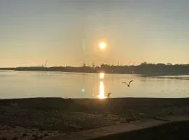 Studio les pieds dans l'eau - plage à proximité