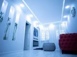 beautiful and comfortable apartment in the city center in an architectural building