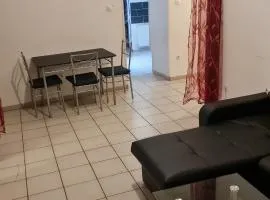 Fabuleux t3 refait à neuf avec cour intérieure