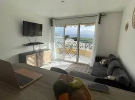 Appt Hadayali - vue mer - proche CHU