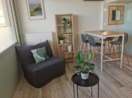 Le Pouget , Studio, Rez de Chaussée, Front de Mer WIFI