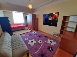 Suit home and room in city center, feriebolig i Erzurum