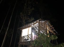 Lotus Jewel Forest Camping, luxury tent in Sultan Bathery