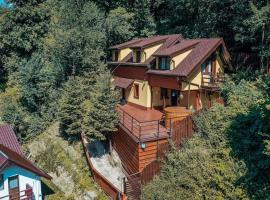 Pinewood Cabin, hotel em Brasov